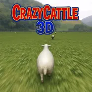 Crazy Cattle 3D