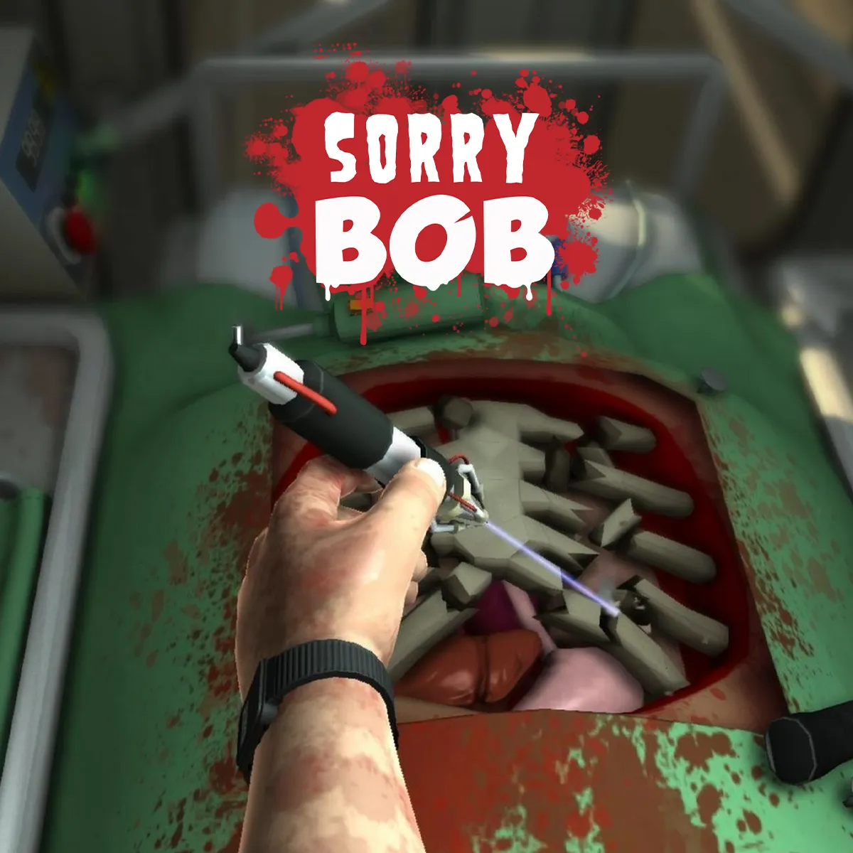 Play Sorry Bob now!